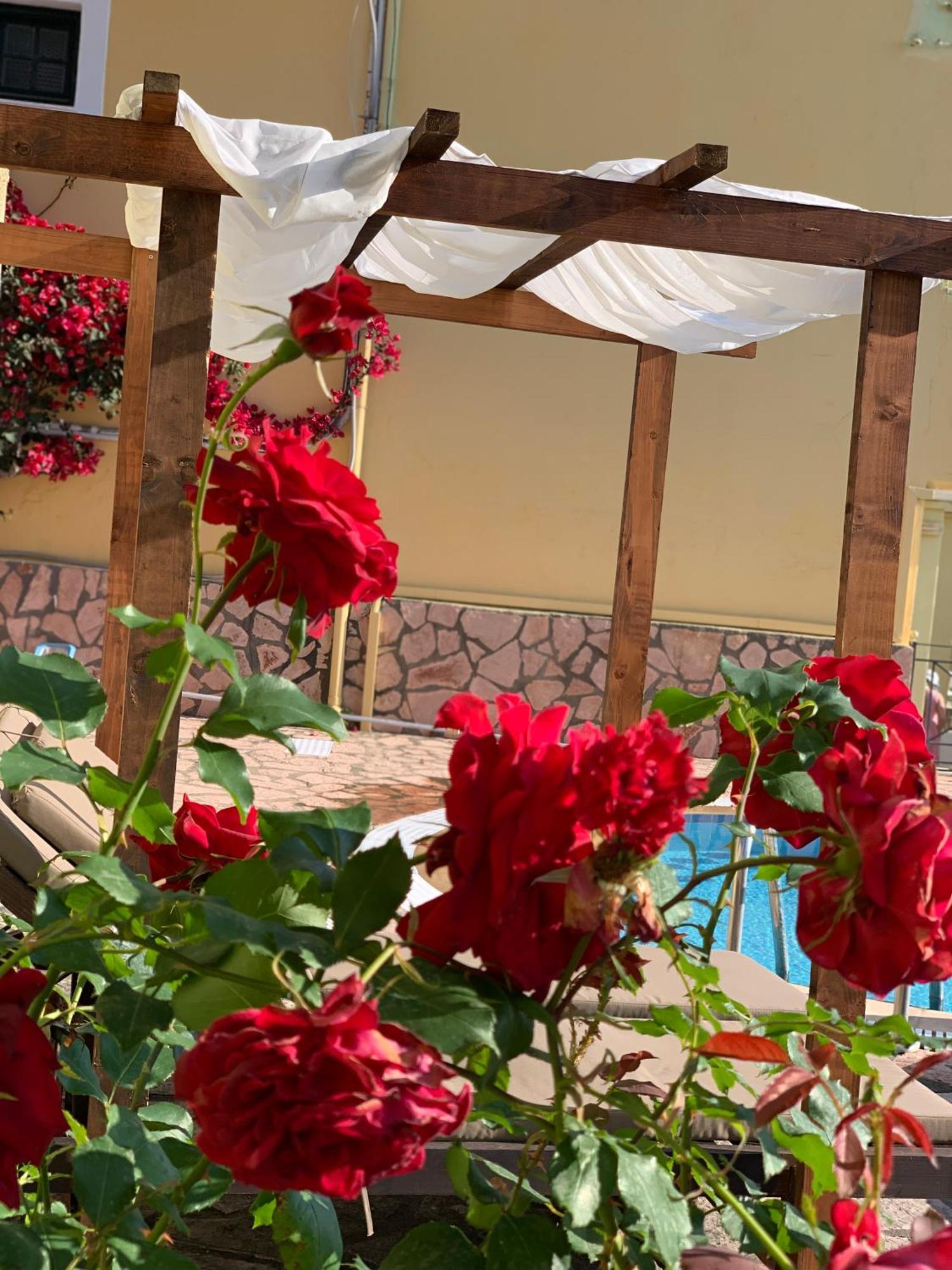Avra Sea View Paradise Pool Aparthotel Moraḯtika